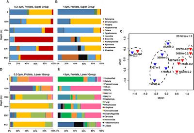 Vertical Distribution of Microbial Eukaryotes From Surface to the Hadal Zone of the Mariana Trench